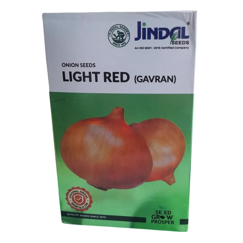 Jindal Light Red (Gavran) Onion Seeds - (Kanda Seeds) Round Bulbs Variety