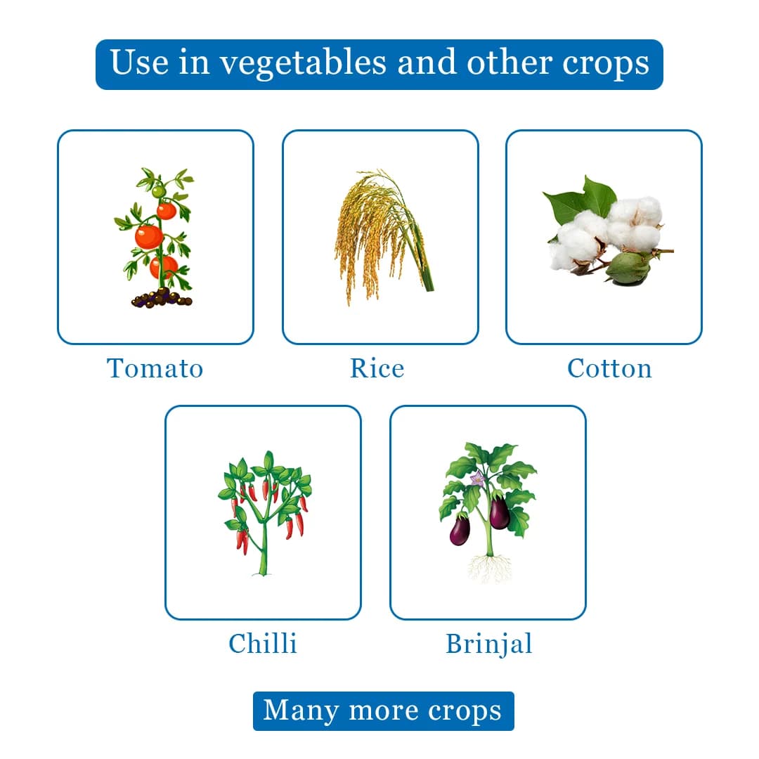 Sudarshan Insecticide - Image 5