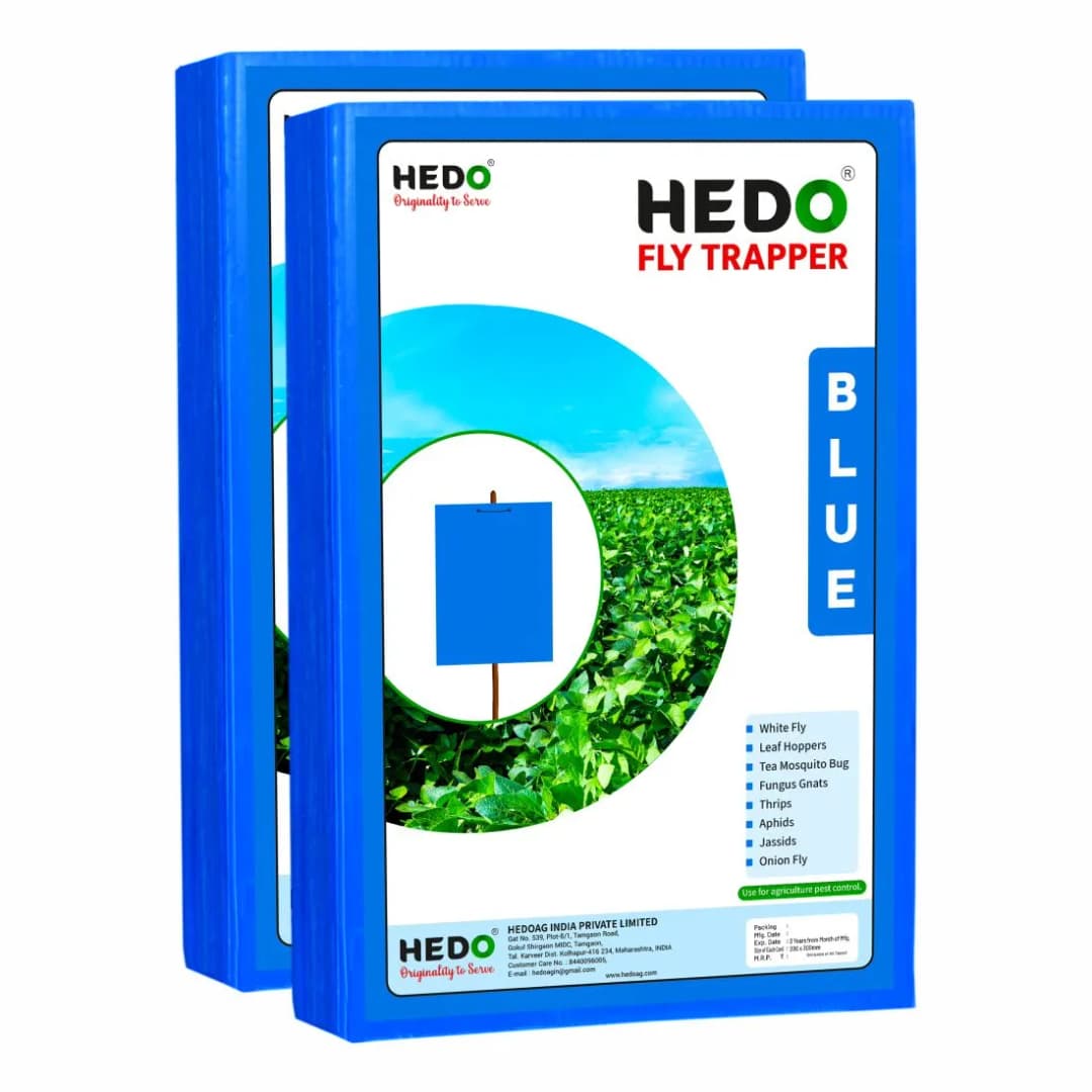 HEDO Eco A4 Size Blue Sticky Trap For Thrips, Aphids, Jassids & All Harmful Flying Insects, Best For Organic Vegetable And Fruits Farming Pest Control - Image 3