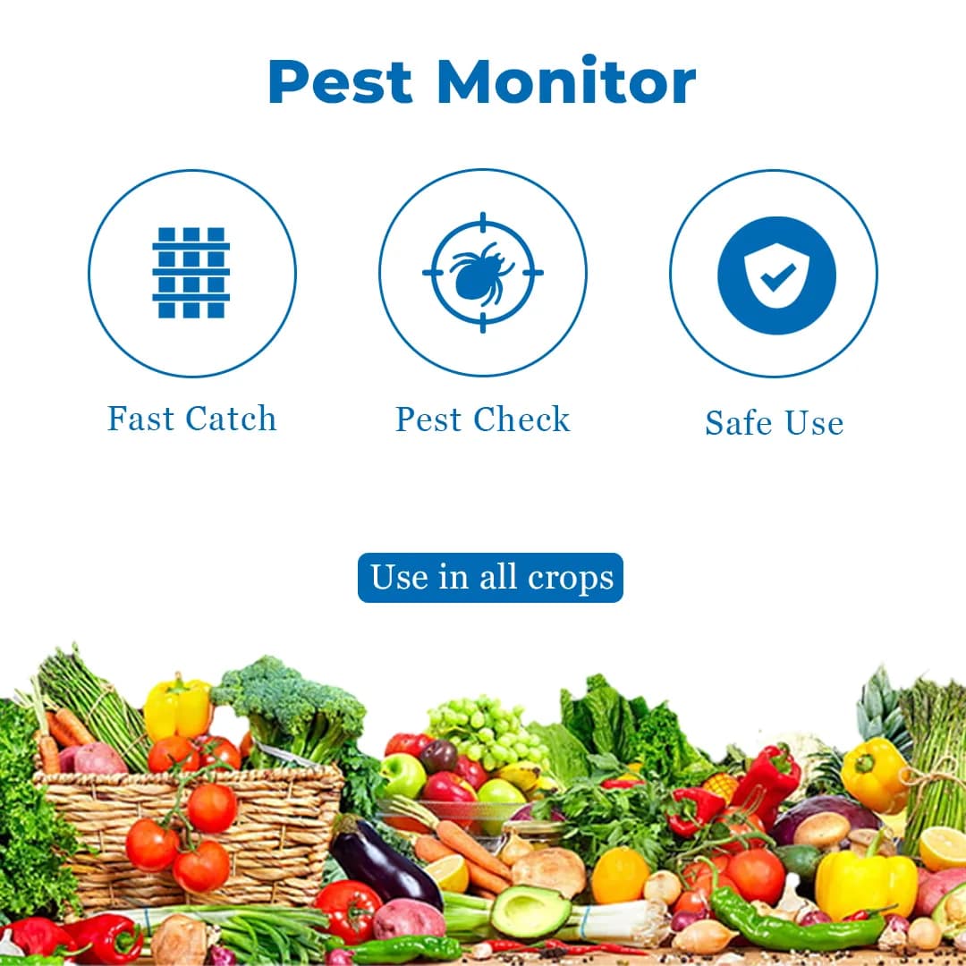 हेडो इको ए4 साइज नीला चिपचिपा जाल थ्रिप्स, माहूँ, जैसिड और अन्य हानिकारक उड़ने वाले कीटों के लिए, जैविक सब्जी और फल खेती में कीट नियंत्रण के लिए उपयोग - Image 3