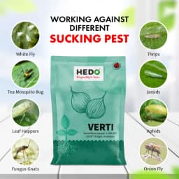 HEDO Verti (Verticillium Lecanii 1.15% Wp) Bio Pesticide, Targets A Wide Range Of Pests Like Aphids, Thrips, Etc 2