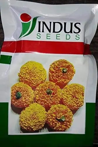Indus Marigold Pushparaj Orange Seeds, Genda Fool , Dark Green Leaf Colour