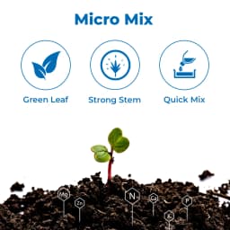 Compo Expert Fetrilon Combi 2 Micronutrient Fertilizers, For The Preventive And Curative Treatment, Foliar Application 3