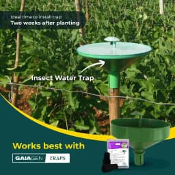 Gaiagen Brinjal Fruit And Shoot Borer Pheromone Lure For Leucinodes Orbonalis, IMO Certified. 9