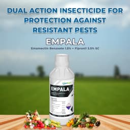 Empala - Emamectin Benzoate 1.5% + Fipronil 3.5% SC Insecticide, Effective Against Resistant Pests with Systemic and Contact Activity 2