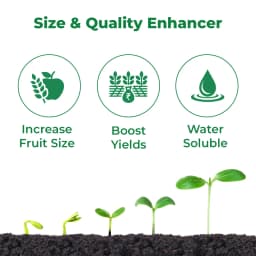 Gibrax SP186 - Gibberellic Acid 0.186% SP Increases Fruit and Flower Size and Helps in Overall Plant Growth 3