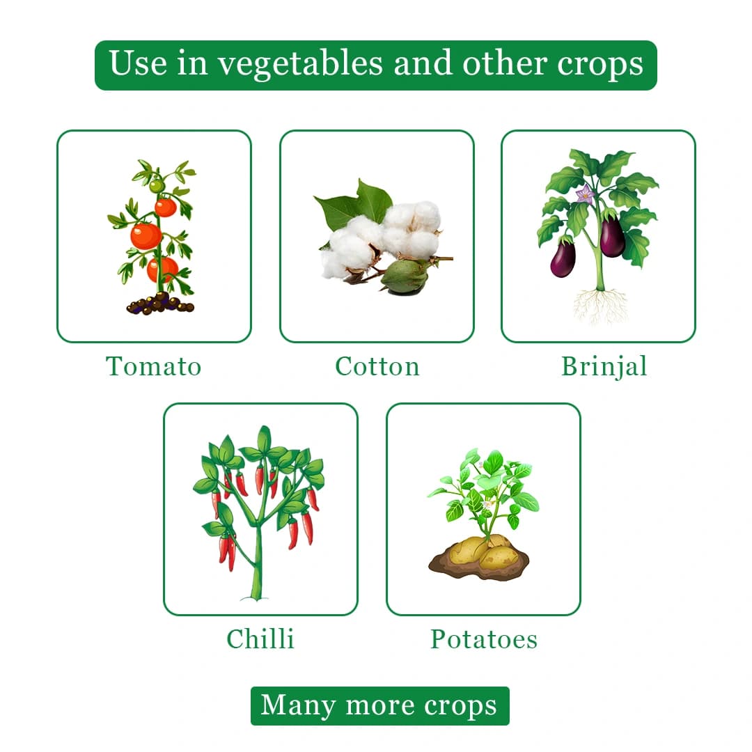 एग्रीवेंचर एबैक्टिन - एबामेक्टिन 1.9% ईसी, व्यापक स्पेक्ट्रम का माइटिसाइड और कीटनाशक, सभी फसलों के लिए उपयोग करें। - Image 5