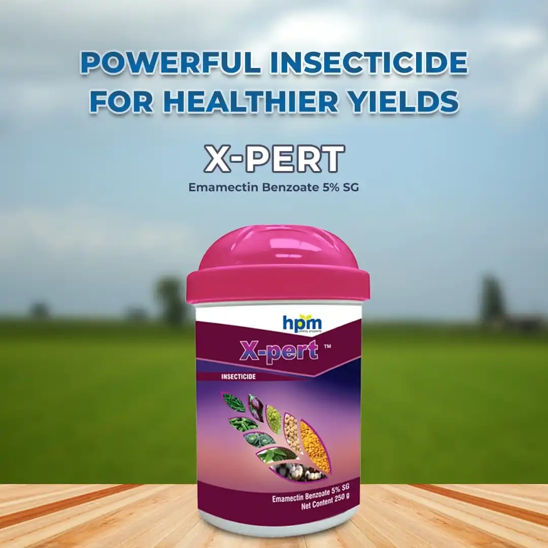 HPM X-pert Insecticide