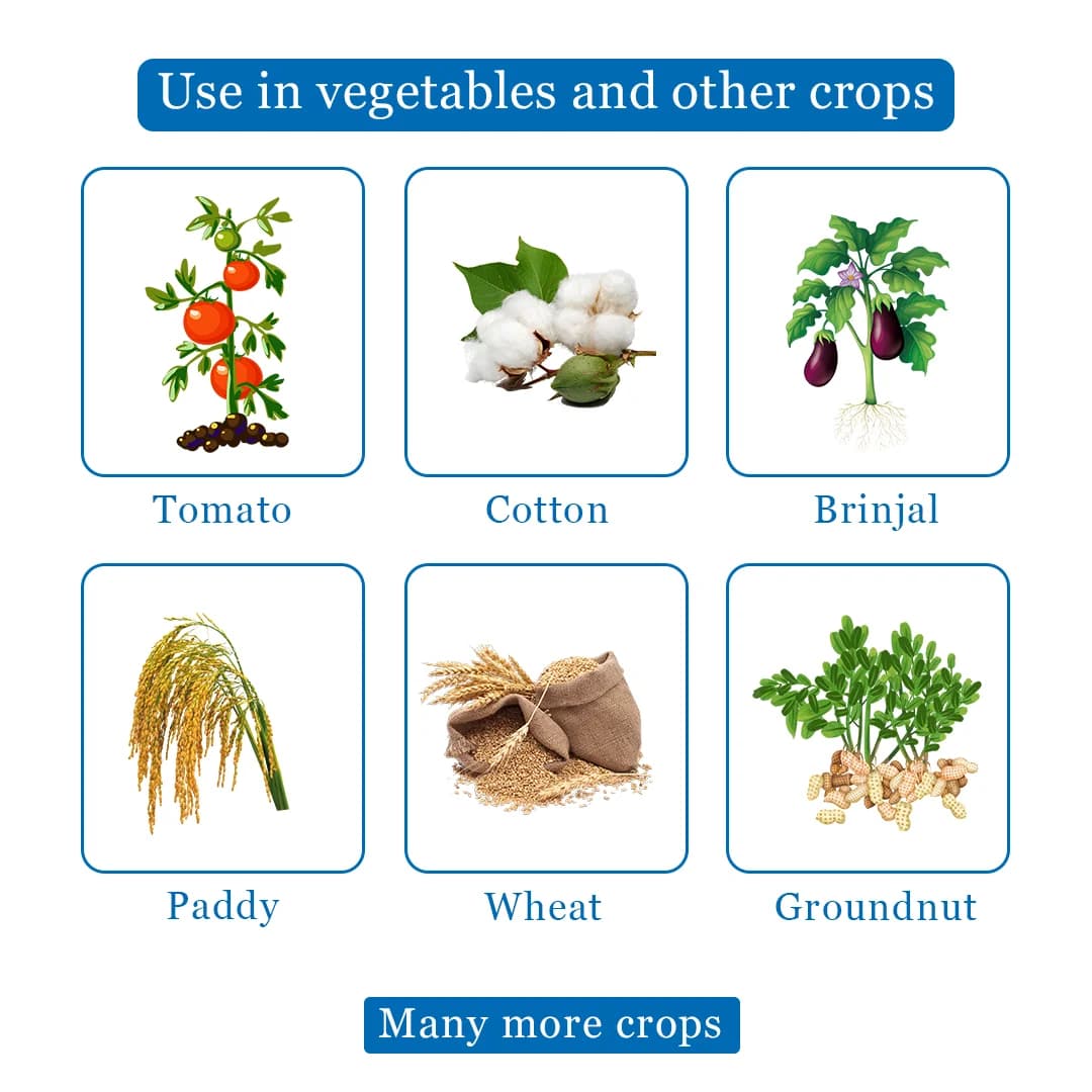 Carbine 50 - Chlorpyrifos 50% EC Insecticide, To Control Termites in Buildings, During Construction, and in Existing Buildings, Bollworms in Cotton - Image 4