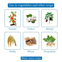 Carbine 50 - Chlorpyrifos 50% EC Insecticide, To Control Termites in Buildings, During Construction, and in Existing Buildings, Bollworms in Cotton 4