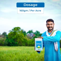 Crystal Avtaar Clodinafop Propargyl 15% WP Herbicide, Controls Narrow Leaf Weeds In Wheat Crop 5