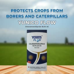 Summitomo Yunico Flow Chlorantraniliprole 18.5% SC, Broad Spectrum Insecticide For Various Crops 2
