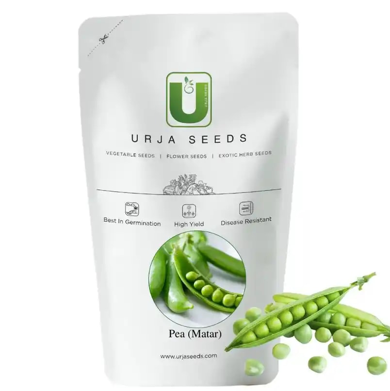 Urja Agriculture Harita Pea Seed , Dark Green Seeds, High Yielding Variety.