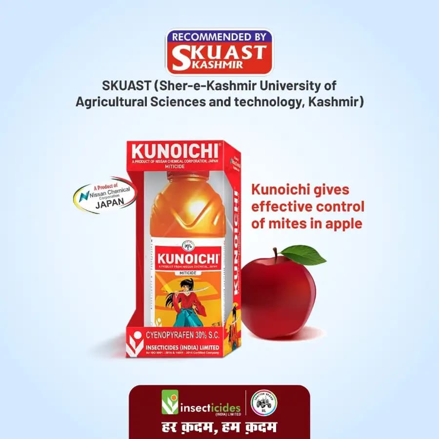 IIL Kunoichi Cyenopyrafen 30% SC Miticide, Efficient For Mite Control In Vegetables And Fruits - Image 6