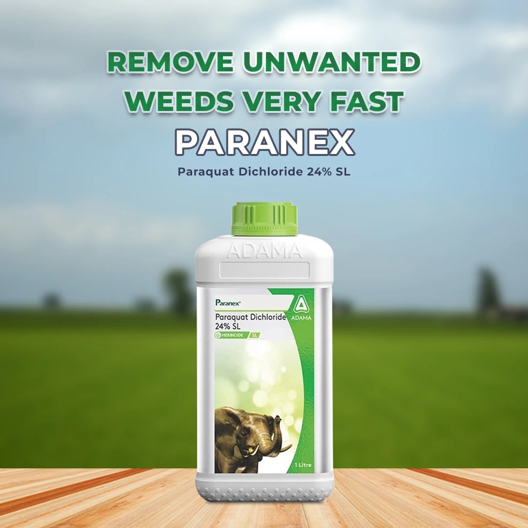 Adama Paranex Herbicide