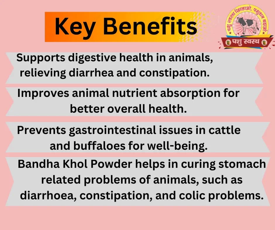 PASHU SVASTH BANDH KHOL POWDER, Holistic Care For Constipation And Diarrhoea - Image 2