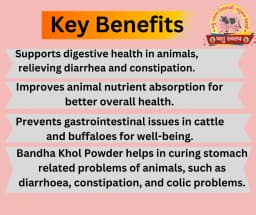 PASHU SVASTH BANDH KHOL POWDER, Holistic Care For Constipation And Diarrhoea 2