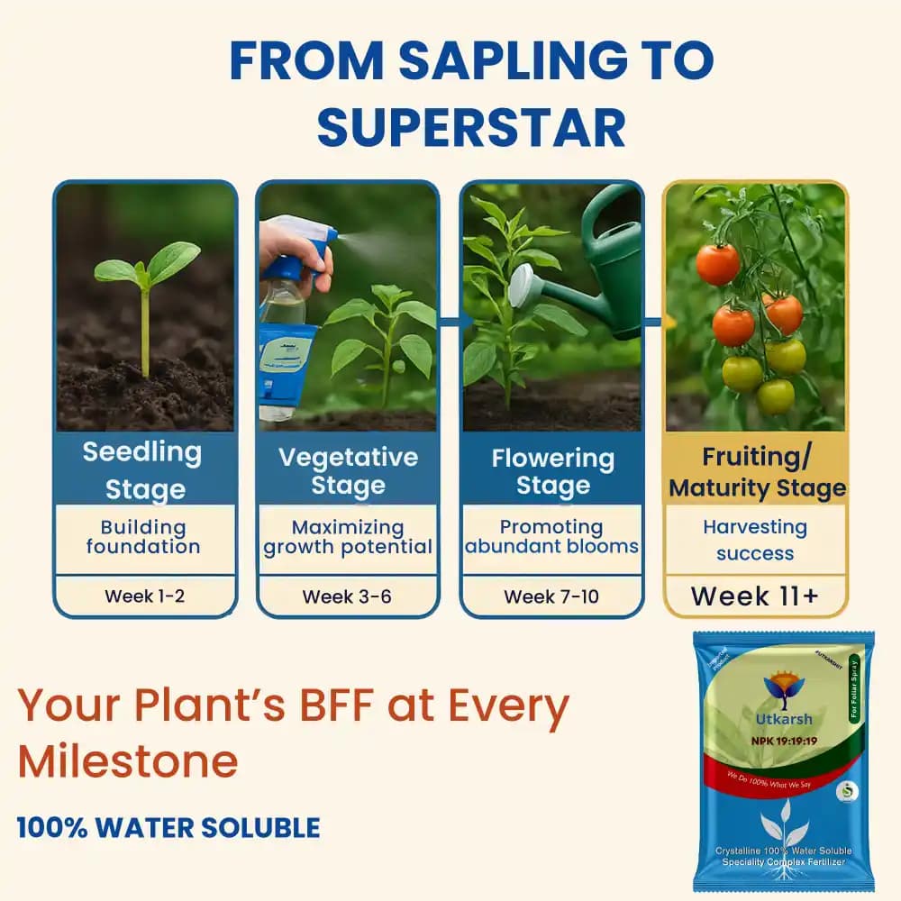 Utkarsh NPK (19:19:19) (Crystalline 100% Water Soluble Complex Fertilizer), Best Drip Irrigation Fertilizer - Image 4