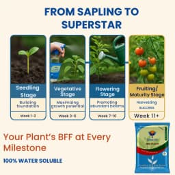 Utkarsh NPK (19:19:19) (Crystalline 100% Water Soluble Complex Fertilizer), Best Drip Irrigation Fertilizer 4