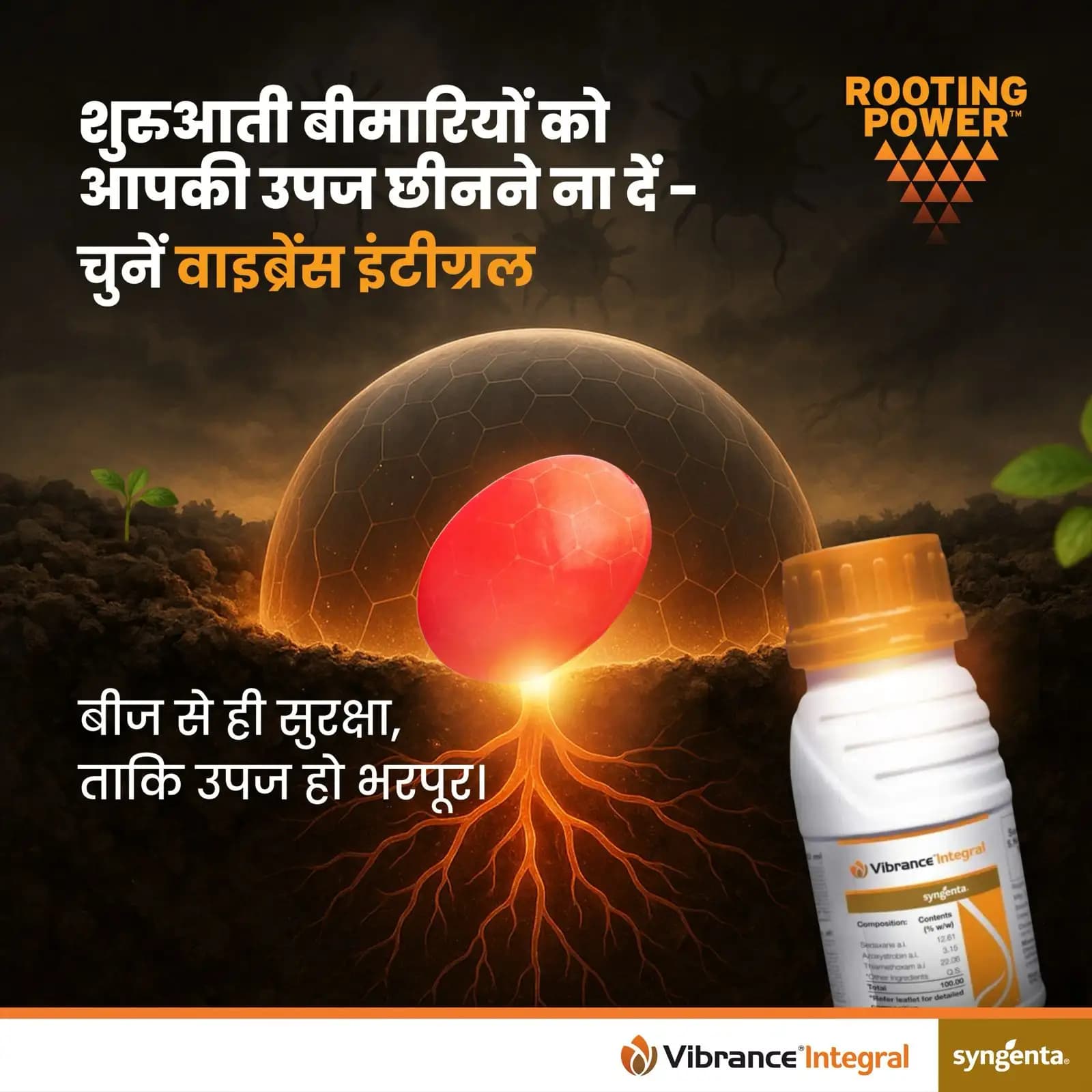 Syngenta Vibrance Integral Sedaxane 12.61% + Azoxystrobin 3.15% + Thiamethoxam 22.06% FS Insecticide + Fungicide, Effective Seed Treatment - Image 2