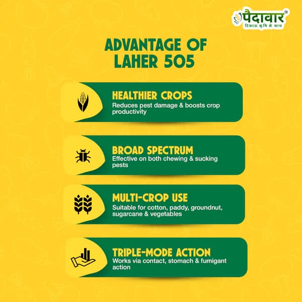 Paidavaar Laher 505 Chlorpyriphos 50% + Cypermethrin 5% EC Insecticide - Image 5