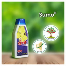 Hifield Sumo Forchlorfenuron 0.01% Plant Growth Regulator, Use for Grapes and Berries 2