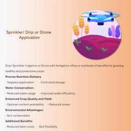 GACIL Multi-Micronutrient Liquid Fertilizer, Plant Growth, Essential Trace Elements For Gardens, Lawns And Greenhouses 3