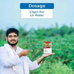 Katyayani Propineb 70% WP Contact Fungicide For Plants Use To Cure Scab Leaf Spot Early And Late Blight In Tomato Graps Pomegranate And Rice 5