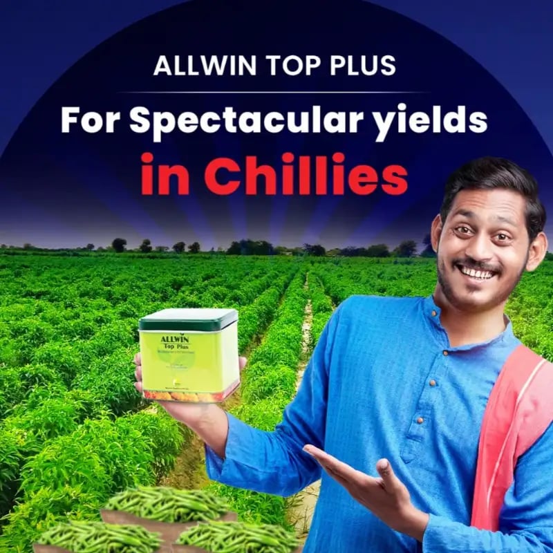 Ramcides Allwin Top Plus - Specialty Fertilizer