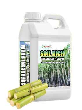 शुगरकेन ग्रो अमृत शुगरकेन माइक्रोबियल कंसोर्टिया (एसएमसी), शुगरकेन स्पेशल, पौधों की वृद्धि और विकास के लिए - Image 1