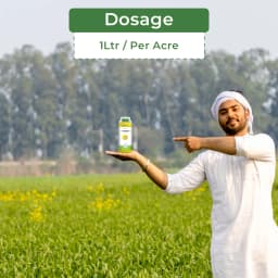 TATA Rallis Panida Pendimethalin 30% EC, Prevents Plant Cell-Division & Elongation, Inhibits Root And Shoot Growth. 5