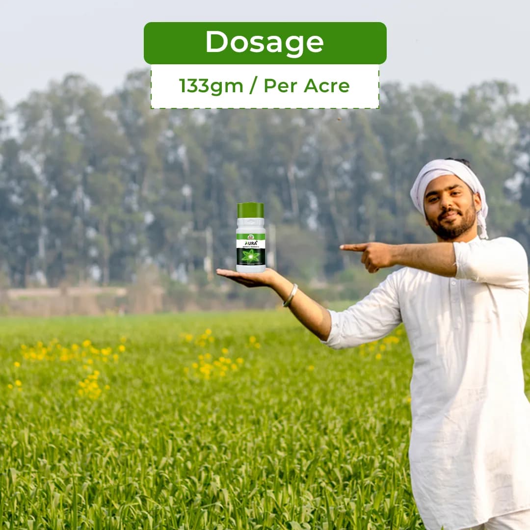 EBS Aura+ Insecticide - Image 6