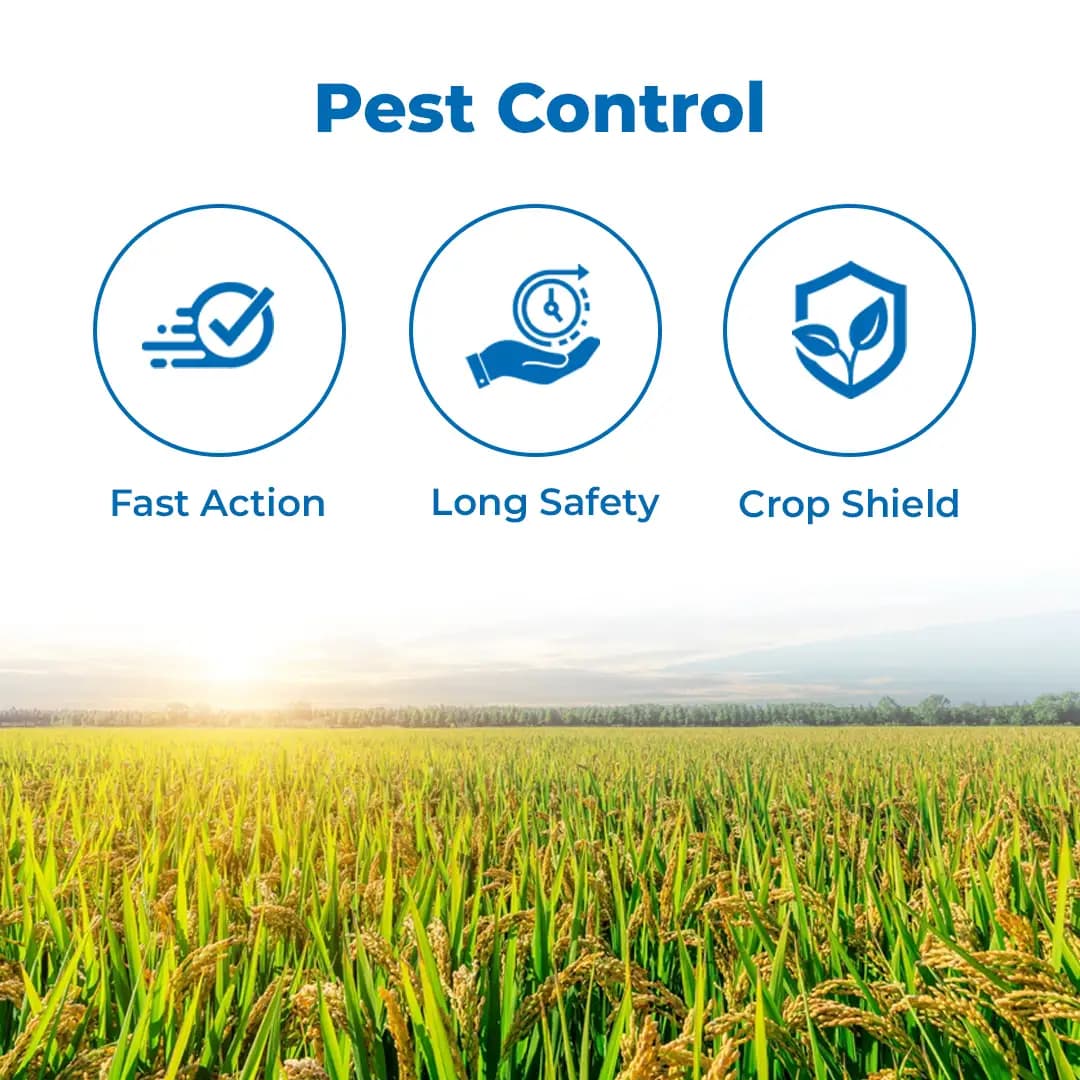 SML Imara Fipronil 0.6% + Sulphur 70% + Zinc 13% WG Systemic and Contact Insecticide - Image 3