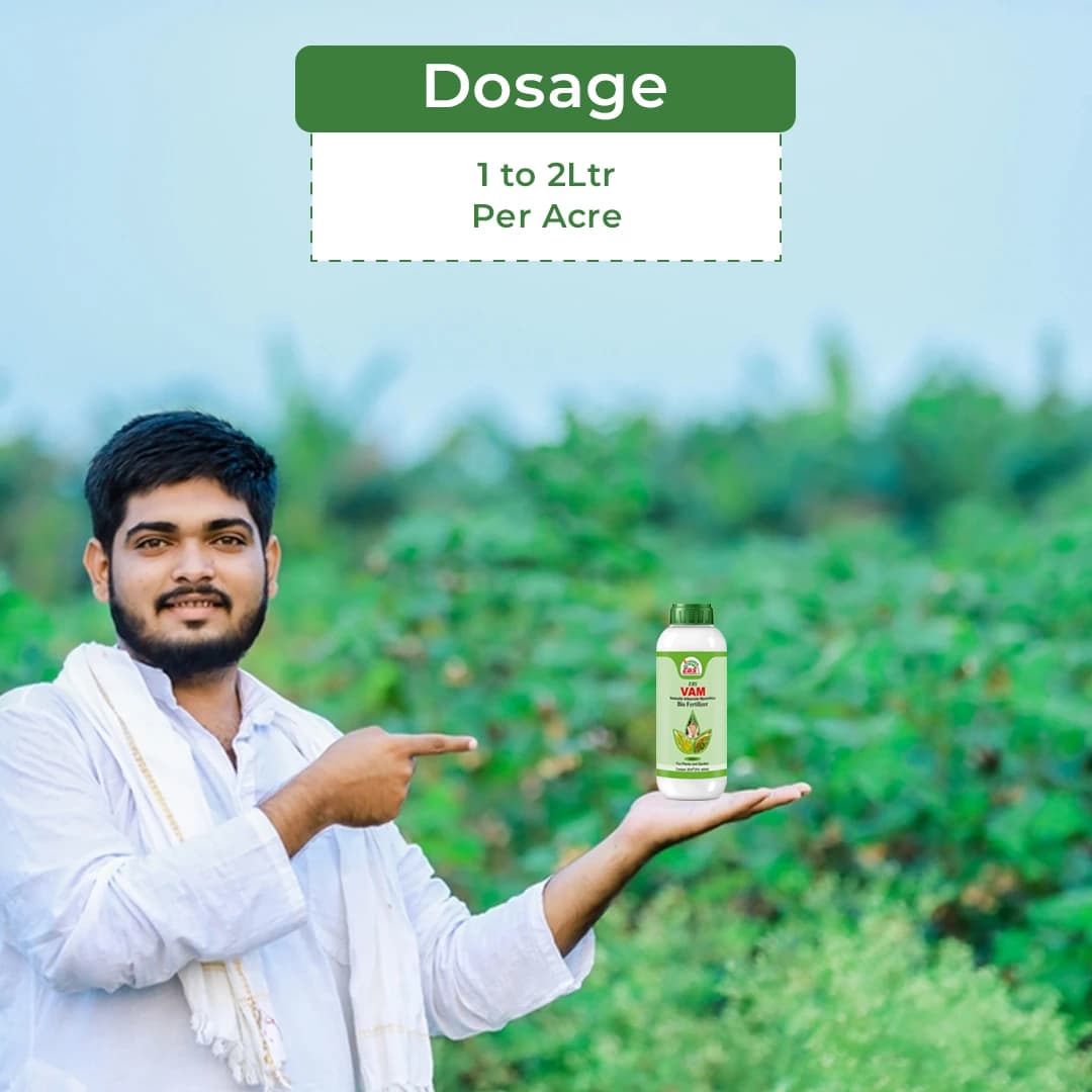 EBS VAM Bio Fertilizer (Vesicular Arbuscular Mycorrhizal) To Improve Soil Fertility In Your Farm & Garden - Image 5