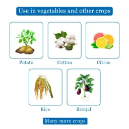 Shree Industries Kaizen Chlorpyriphos 50% EC Insecticide, Contact, Stomach and Fumigation Against Broad Spectrum of Pests and Beetles 4