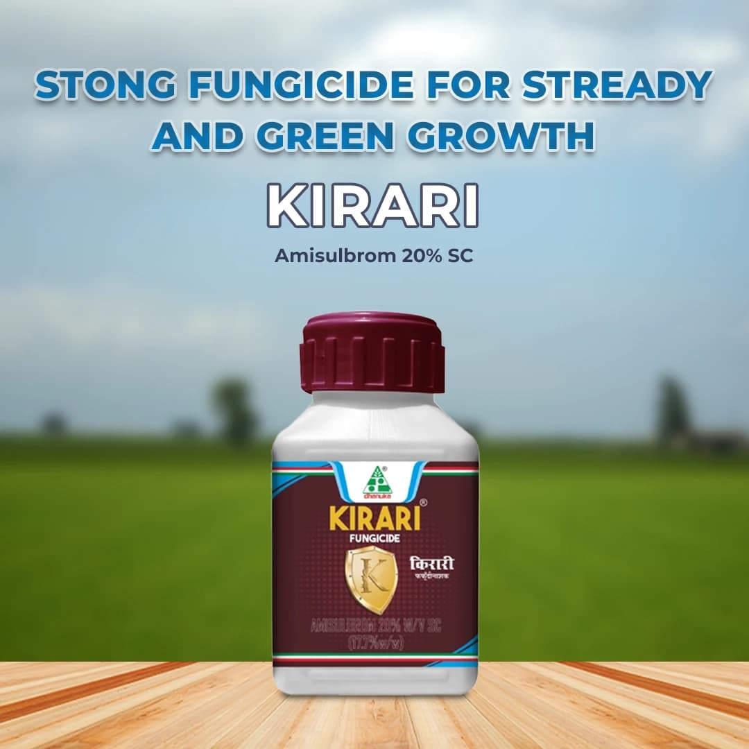 Dhanuka KIRARI Amisulbrom 20% SC Fungicide, Effective For Downy Mildew And Late Blight Control In Crop - Image 2
