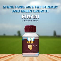 Dhanuka KIRARI Amisulbrom 20% SC Fungicide, Effective For Downy Mildew And Late Blight Control In Crop 2