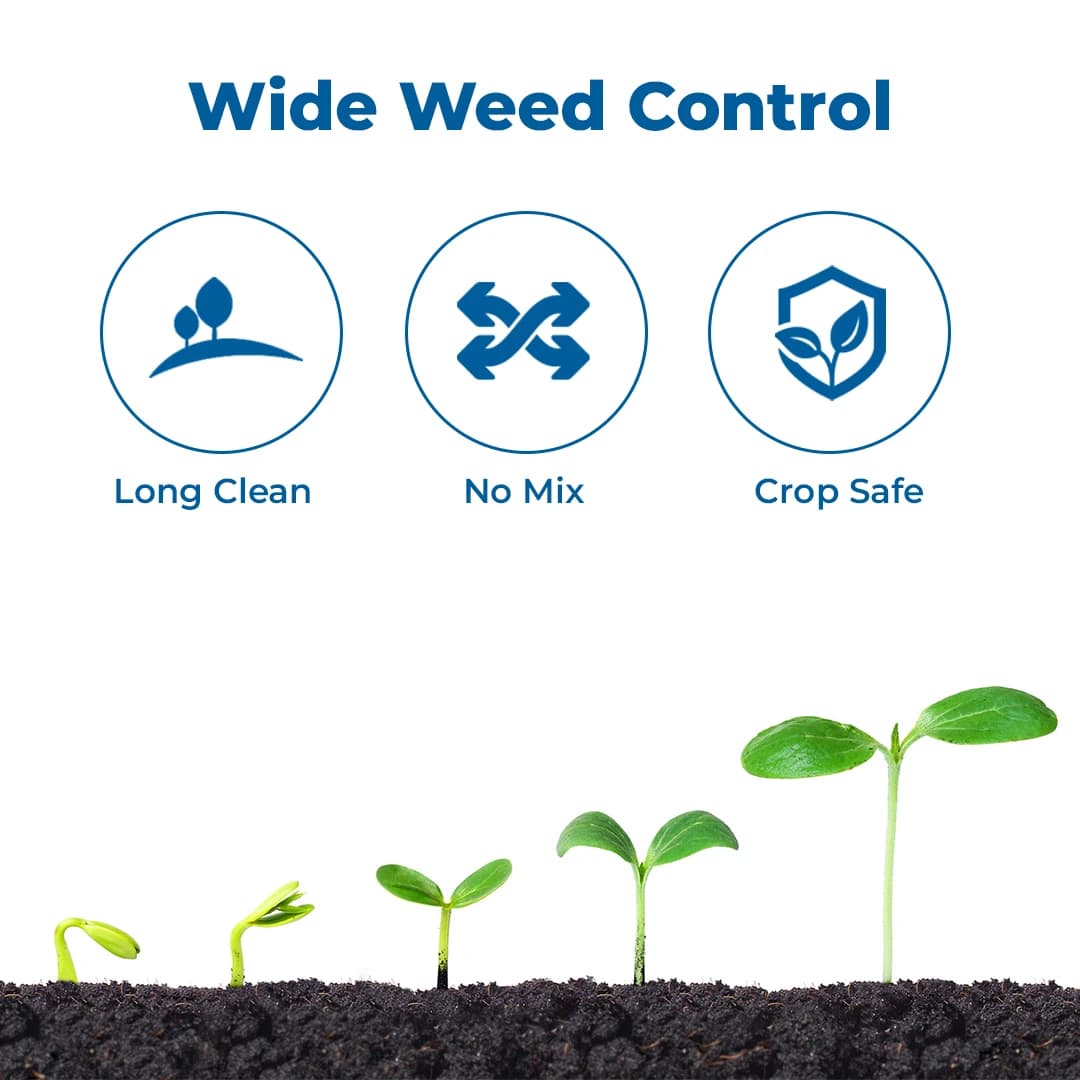 Tata Rallis Tata Metri Mertibuzin 70% WP Selective Herbicide Used to Control Annual Grasses. - Image 3