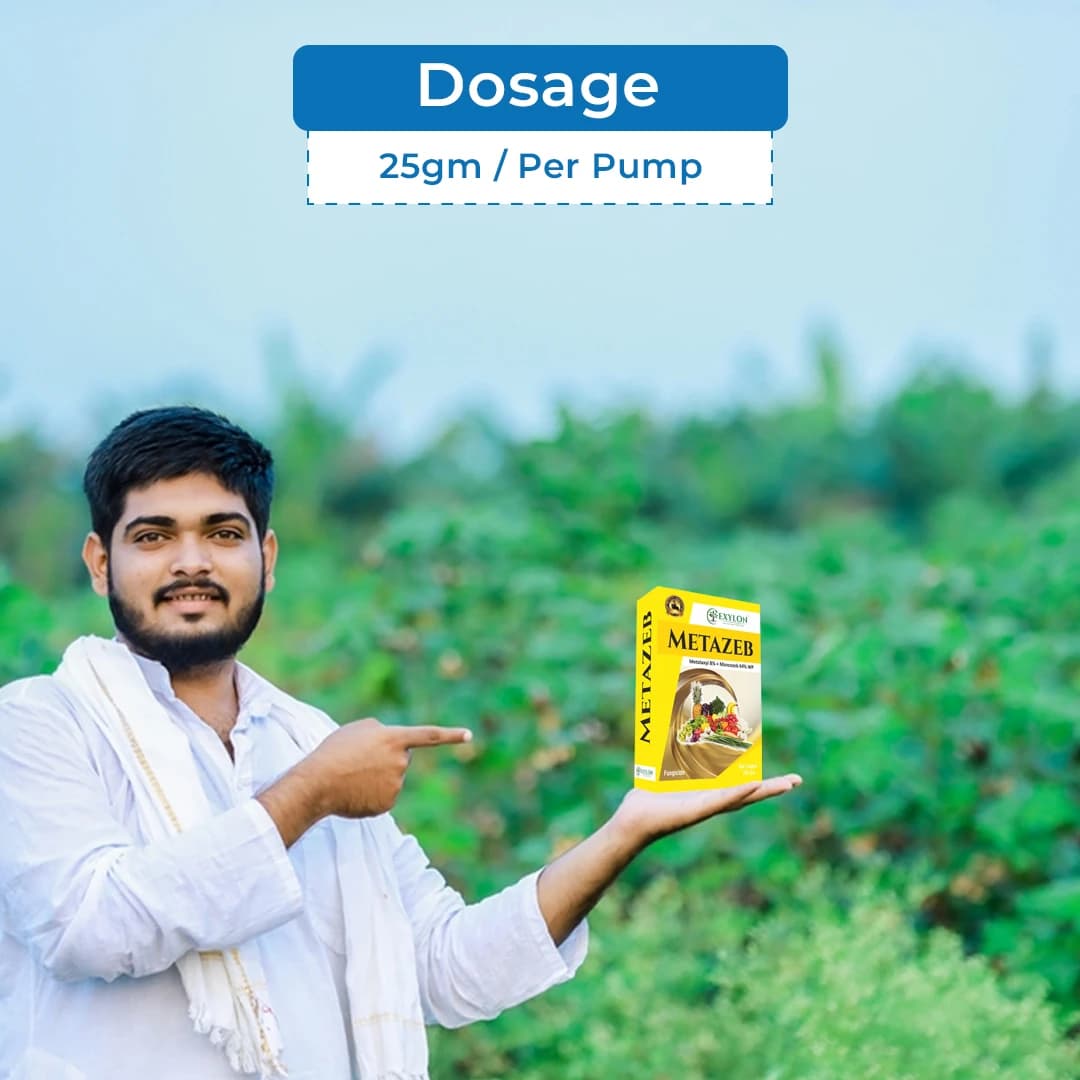 Exylon Matazeb Fungicide - Metalaxyl 8% + Mancozeb 64% WP - Image 6