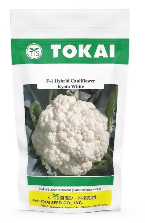 Tokai Hybrid Cauliflower Kyoto White Seeds, Gobhi Ke Beej, Ready For Harvest