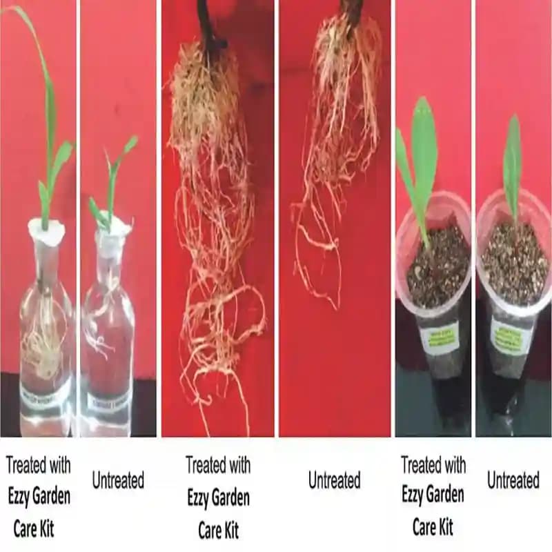 Ezzy Garden Care Kit for 50 Plants 100% ORGANIC Plant fertilizer with Humic Acid,Seaweed and Fulvic Acid,Neem extract pesticide and Moringa extract - Image 4