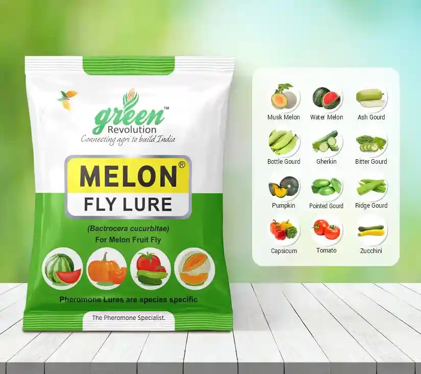 मैक्सप्लस ट्रैप, मेलन फ्लाई ल्यूर, बैक्ट्रोसेरा कुकुरबिटे को नियंत्रित करने के लिए, तरबूज, मस्क मेलन, ककड़ी, लौकी, कद्दू, सभी सब्जियों के लिए उपयोगी.