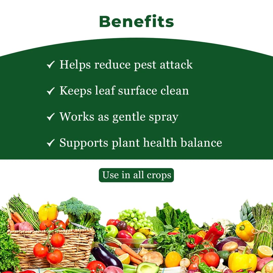 EBS Neem Oil - Image 4