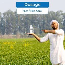 Aquarius Neem Booster Azadirachtin 0.15% min 1500 PPM Insecticide, Effective In All Types Of Crops 5