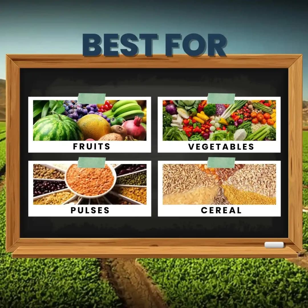 Katyayani Bhannaat Biostimulant Plant Growth Promoter, Increases Plant Resistance - Image 3