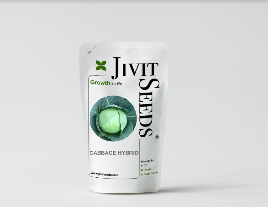 Jivit Cabbage Seeds - Patta Gobhi Seeds