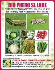 बायो फेरो एसएल स्पोडोप्टेरा लिटुरा ल्योर (पत्तियाँ खाने वाली कैटरपिलर) और फनल ट्रैप का कॉम्बो पैक