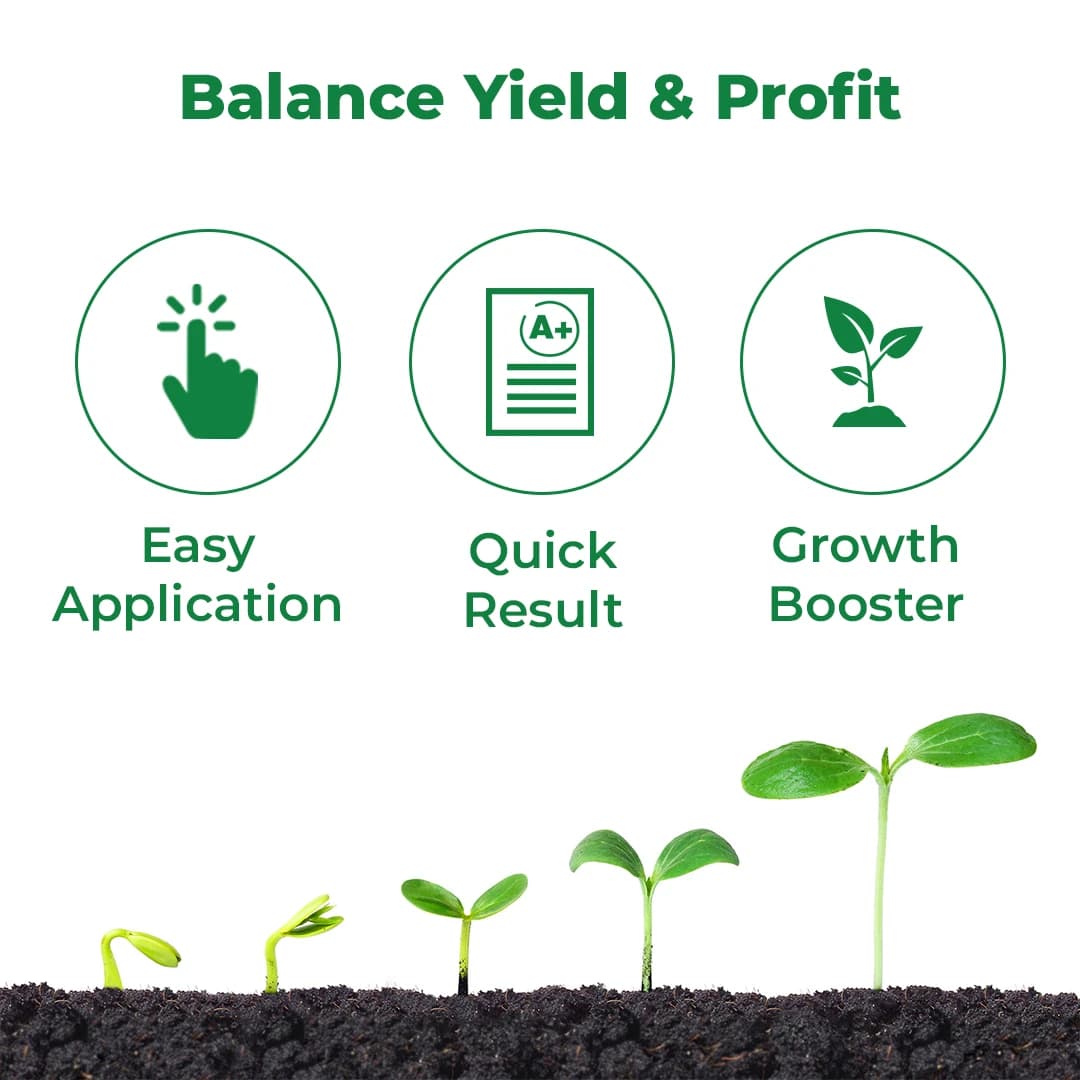 गिब्रैक्स फाइटोज़ाइम (गिब्बेरिलिक एसिड 0.001% एल) - बूंद से सिंचाई और पत्तियों पर छिड़काव के लिए उपयुक्त - Image 3