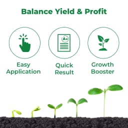 गिब्रैक्स फाइटोज़ाइम (गिब्बेरिलिक एसिड 0.001% एल) - बूंद से सिंचाई और पत्तियों पर छिड़काव के लिए उपयुक्त 3