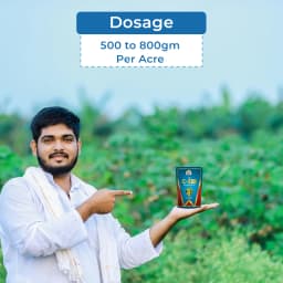 EBS C-ZEB Mancozeb 75% WP Fungicide, Control all Fungal Infections on Leaves Blast of Paddy, Use For Agricultural Plants and Home Garden 5